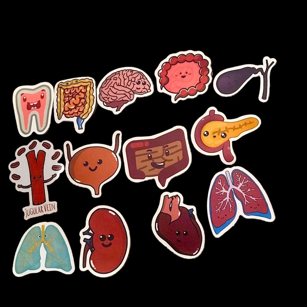 Colored happy human organ stickers